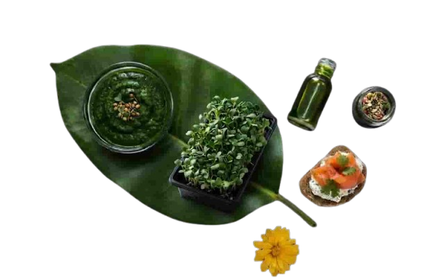 Microgreens Leaf Collage